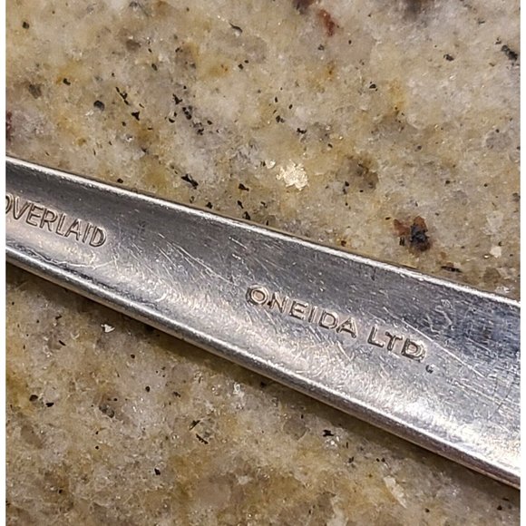 Vintage Wm. Rogers Oneida Spoons Always Wildwood Set of 6 Silver Overlay - Picture 7 of 10